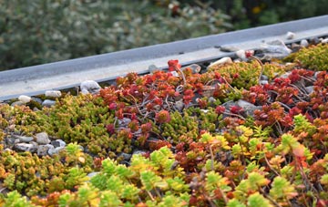 the cost of Llaneuddog green roof installation