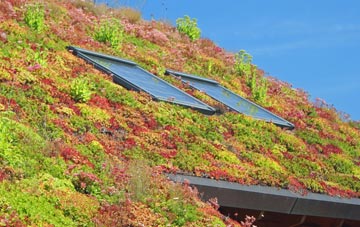 Llaneuddog living roof systems