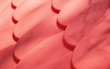 Llaneuddog plastic roof costs