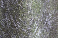 Llaneuddog fibreglass roof work